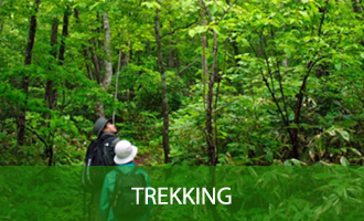 trekking8
